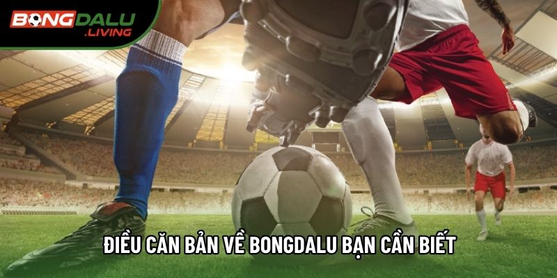 Điều căn bản về bongdalu bạn cần biết